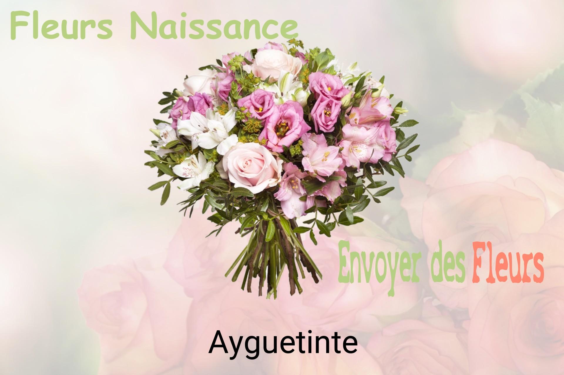 Bouquet de fleurs de naissance livré à Ayguetinte