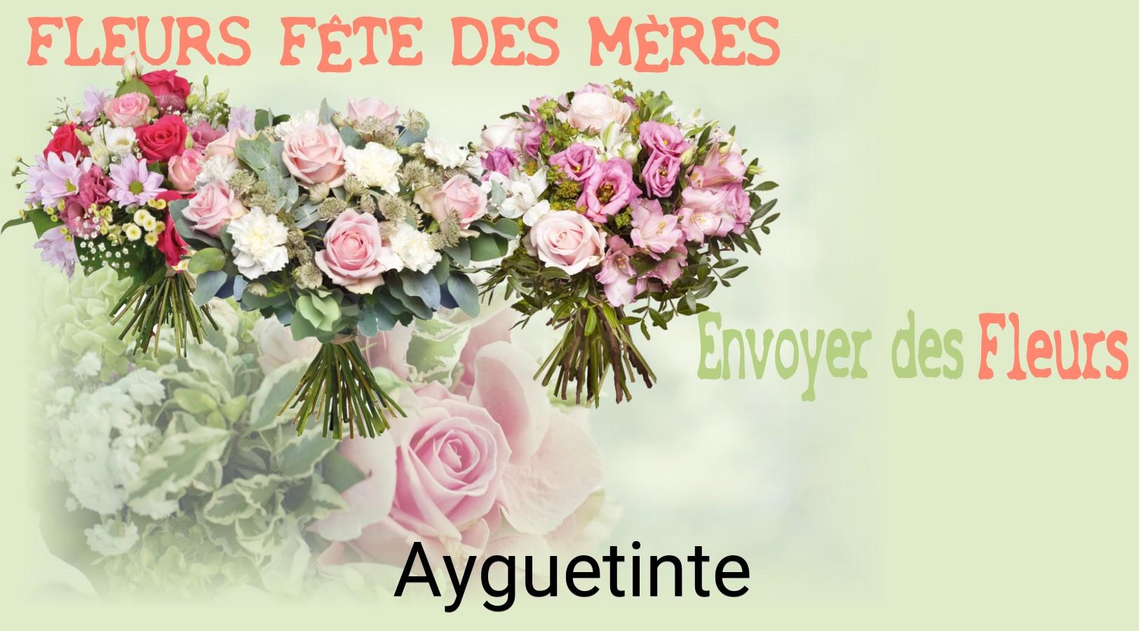 Bouquet de Fête des Mères livré à Ayguetinte